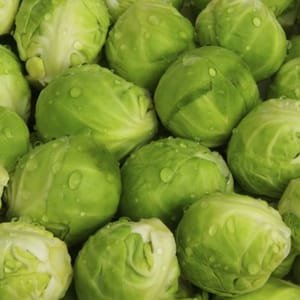 CHOU DE BRUXELLES - 500 g - 5,90 €/kg -